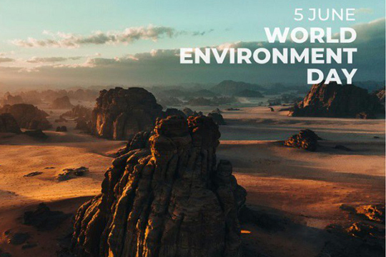 Giornata mondiale dell'Ambiente 2024